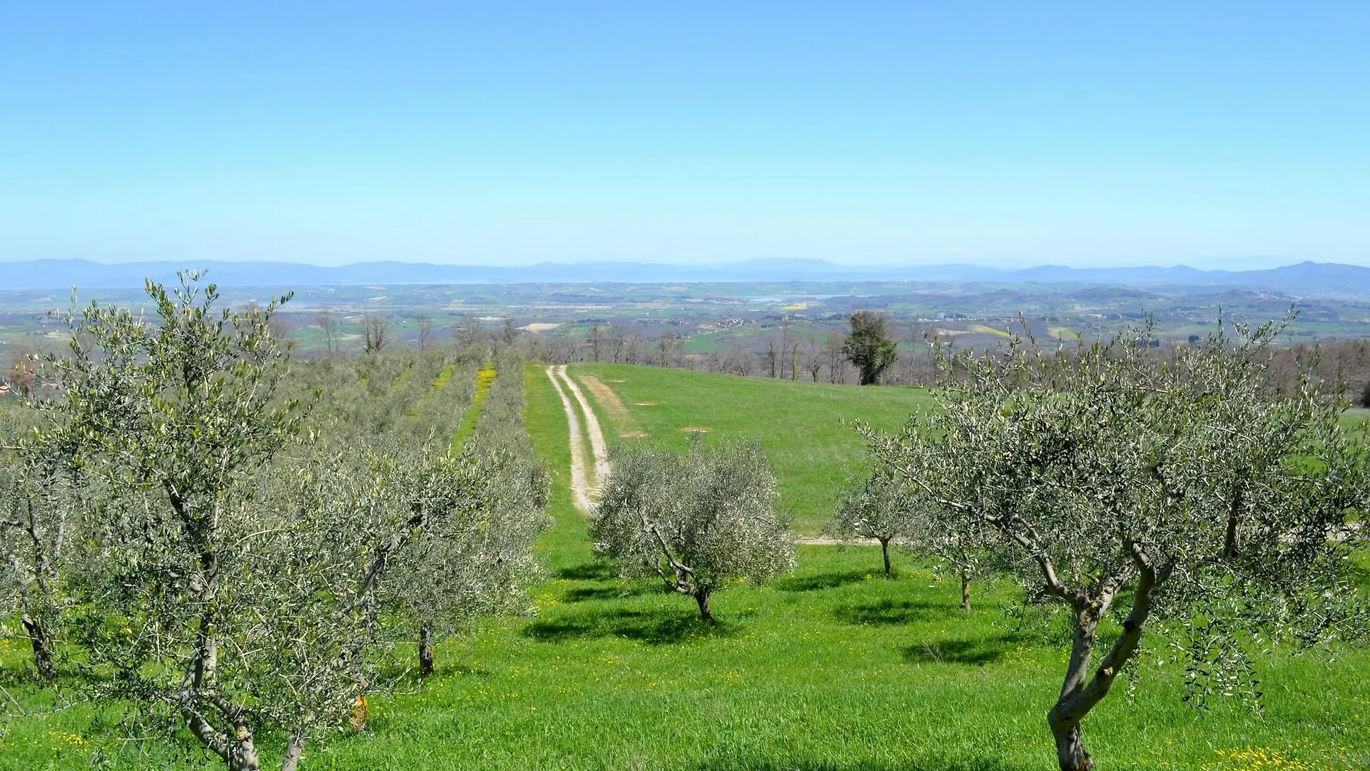 Willa Borgo Poggio Bianco Sarteano 0*,