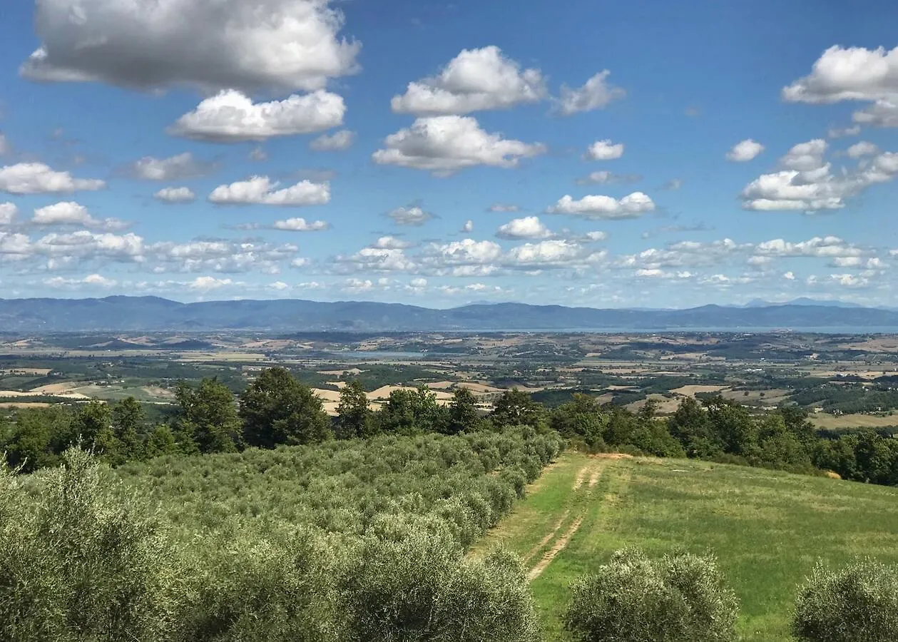 Dom wakacyjny Willa Borgo Poggio Bianco Sarteano