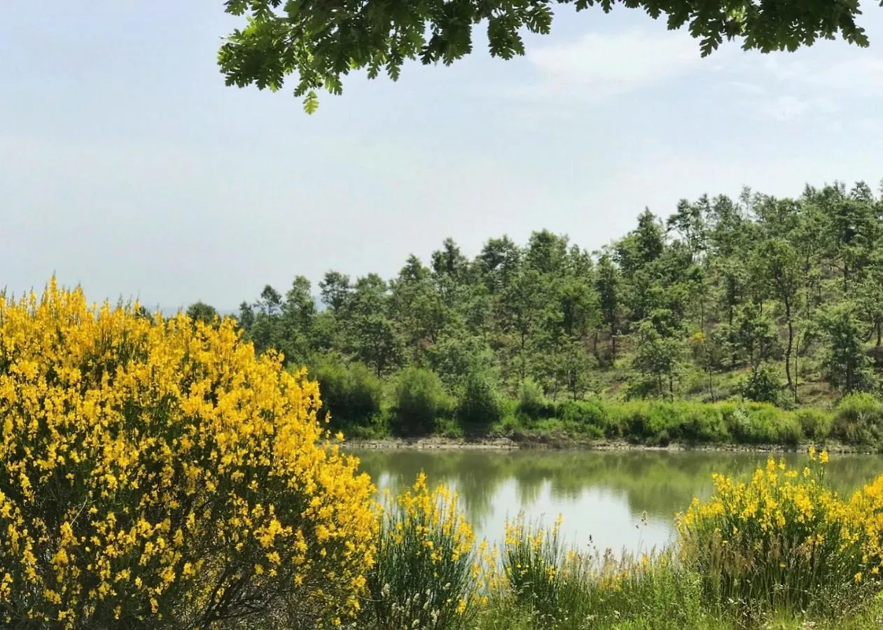 Σπίτι διακοπών Borgo Poggio Bianco Βίλα Sarteano